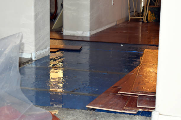 Professional Flood Cleanup technician working in Port Jefferson, NY